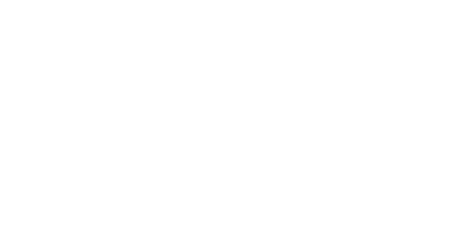 Dengler_Engineering_Logo_weiss.png